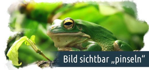 Bild sichtbar machen