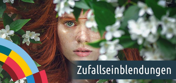 Diashow erstellen mit Zufallseinblendungen